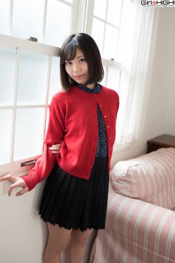 电视剧叶落长安